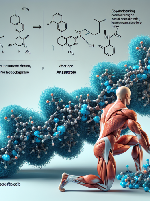Anastrozol y desarrollo de fibras musculares rápidas